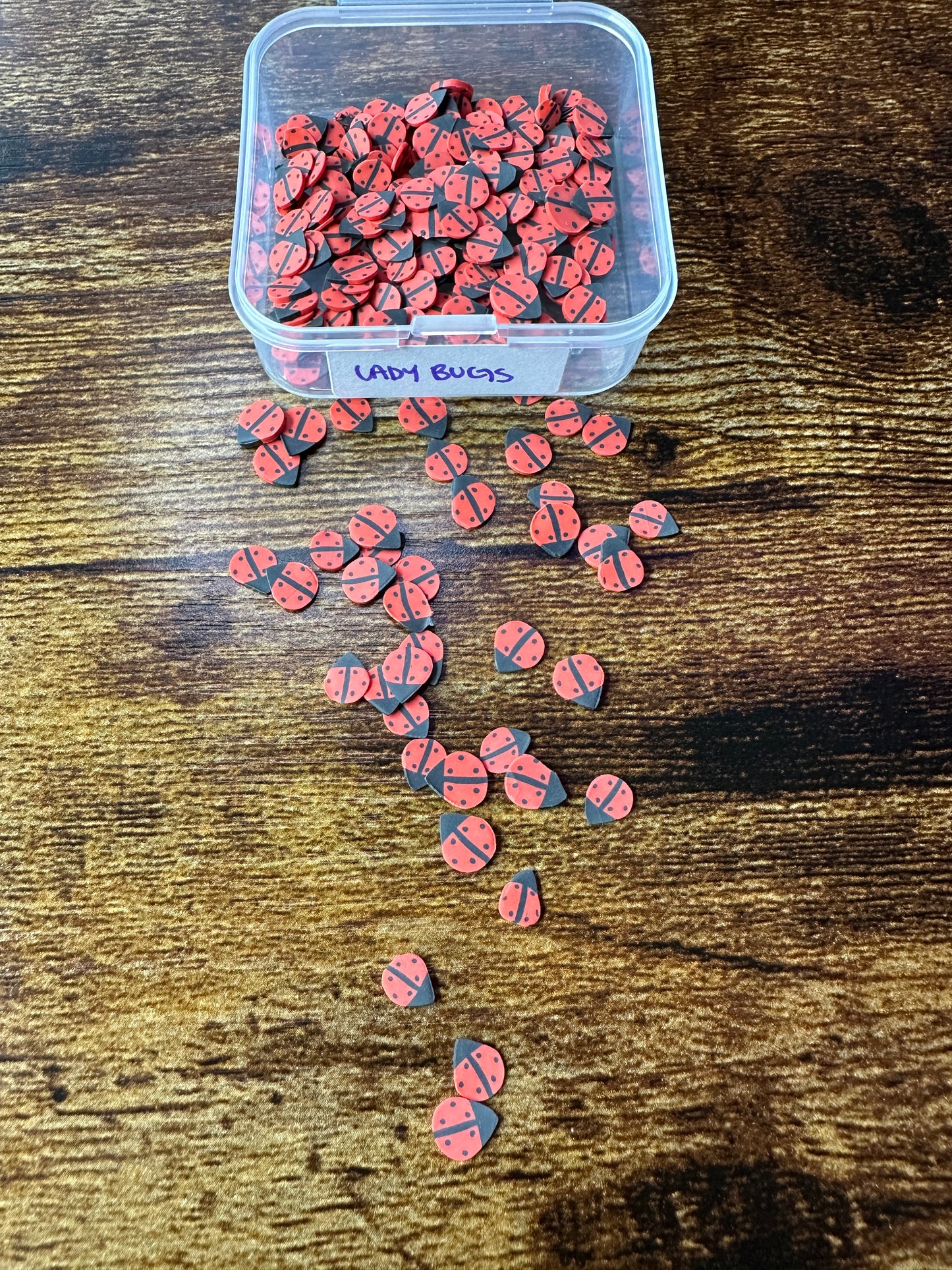 ✦ Lady Bug ✦